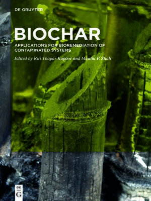 cover image of BioChar